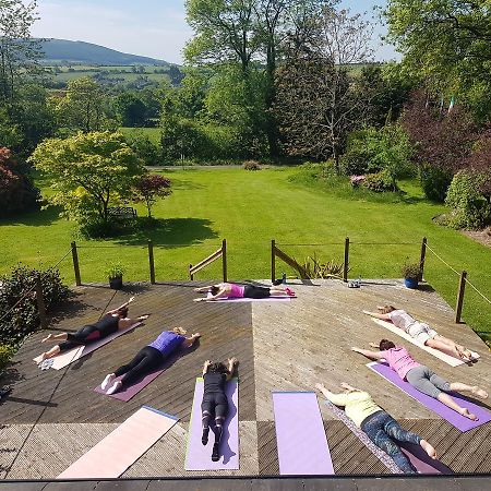 Creacon Wellness Retreat 호텔 뉴 로스 외부 사진