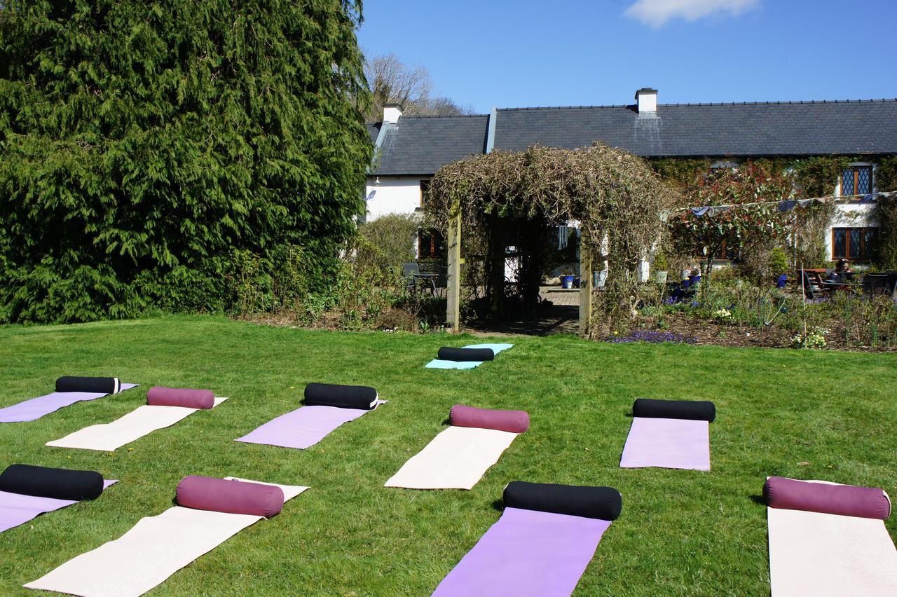 Creacon Wellness Retreat 호텔 뉴 로스 외부 사진